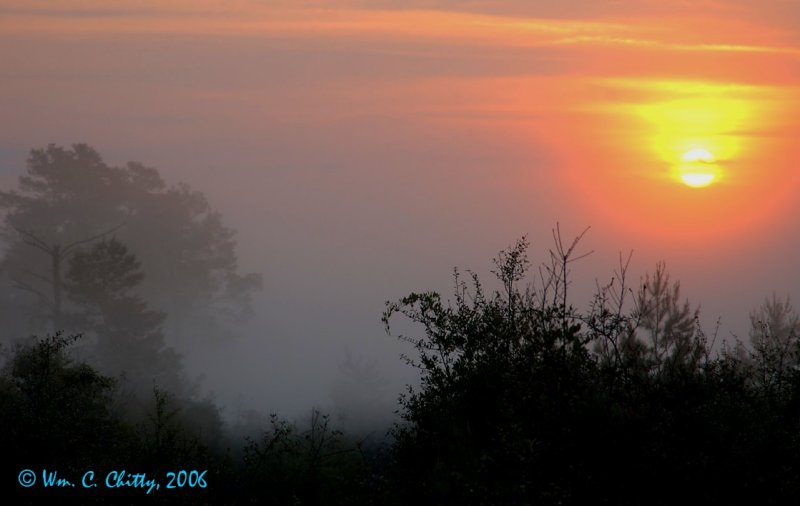 Sunrise in the Etoniah Creek woods.jpg