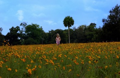 Playing in a Field of Florahome Flowers.jpg