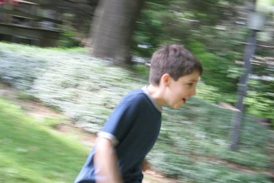 IMG_1742.JPG