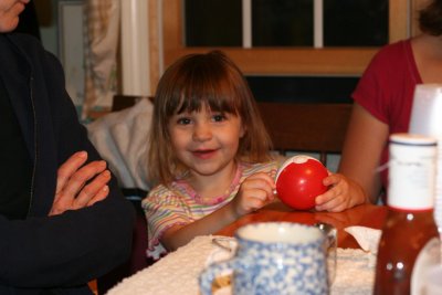 The annual 4th of July picnic (2007).
