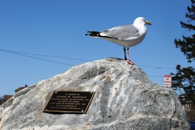 Mystery Plaque on Sea Gull Rock