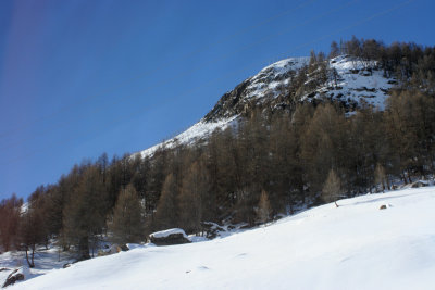 IMG_3338.jpg