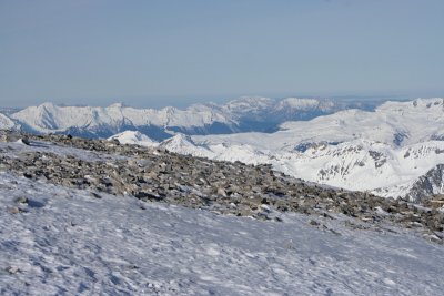 IMG_3380.jpg