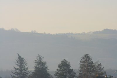 IMG_3916.jpg