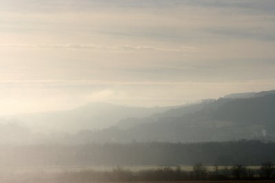 IMG_3919.jpg