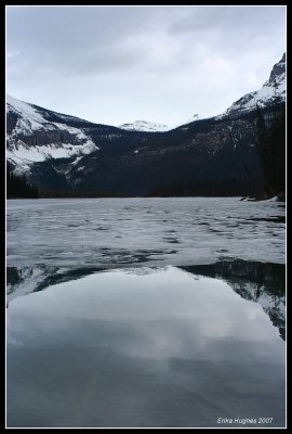 IMG_4811.jpg