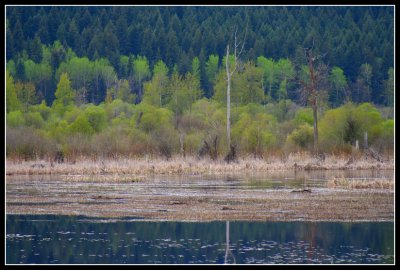 IMG_4862.jpg