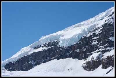 IMG_5287.jpg