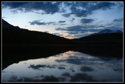 IMG_5390.jpg