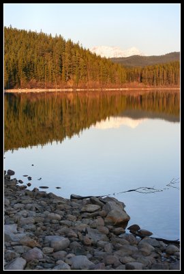 IMG_5405.jpg