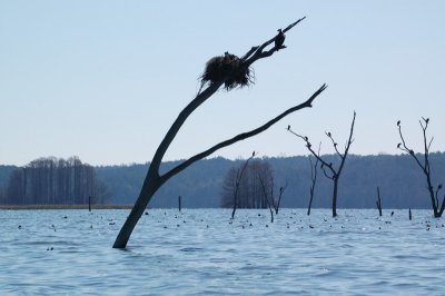 Lake Seminole, FL, GA