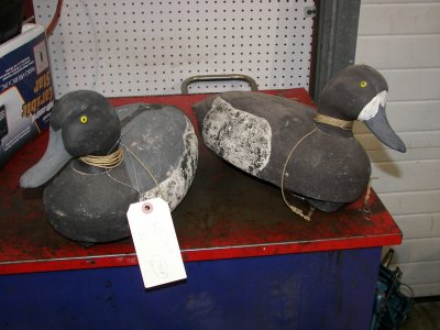 Here's a nice pair of decoys looking for a good home!