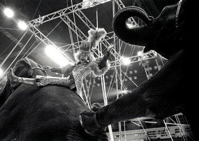 Vintage Circus 4 .jpg