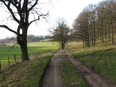 The road to Blteberga