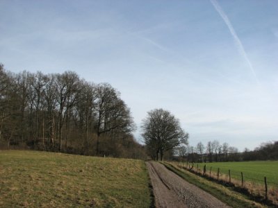 The road to Blteberga