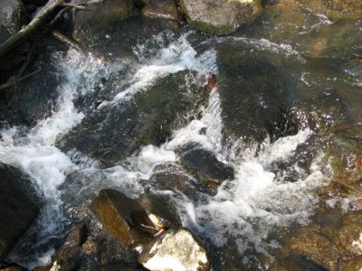 River detail
