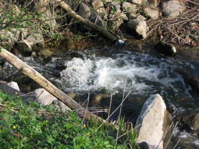g6/00/739000/3/77221279.v2eRPHvw.jpg