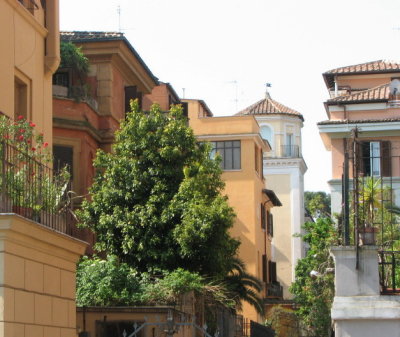 Via del Terme di Traiano