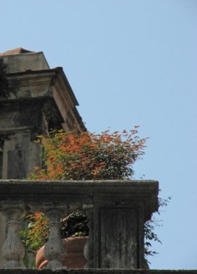 Palatino detail