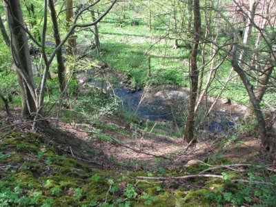 The creek of Tjutebro; Tjutebäcken