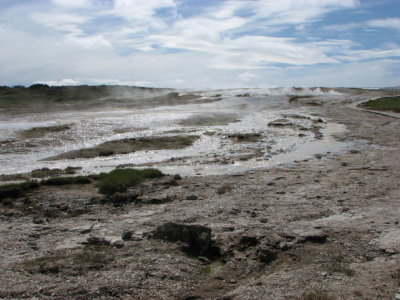The hot sprigs at Hveraavellir I
