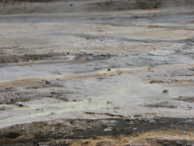 The hot sprigs at Hveraavellir II