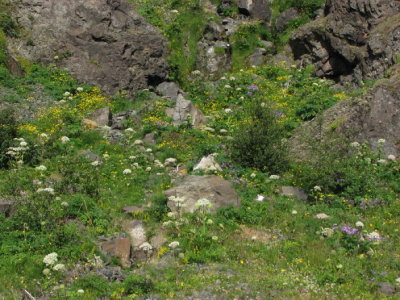 Mountainside mix I