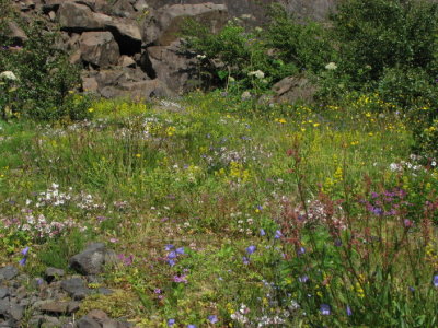 Mountainside mix III