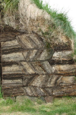 Peat moss wall