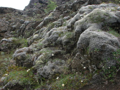 Lava covered with Moss