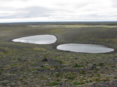 Ponds fromed by melting snow