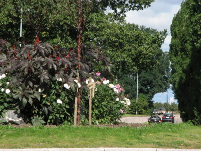 g6/00/739000/3/85449310.g6PFyEaR.jpg