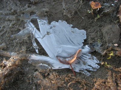 Ice I