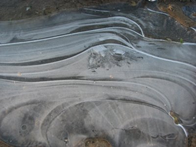Ice III