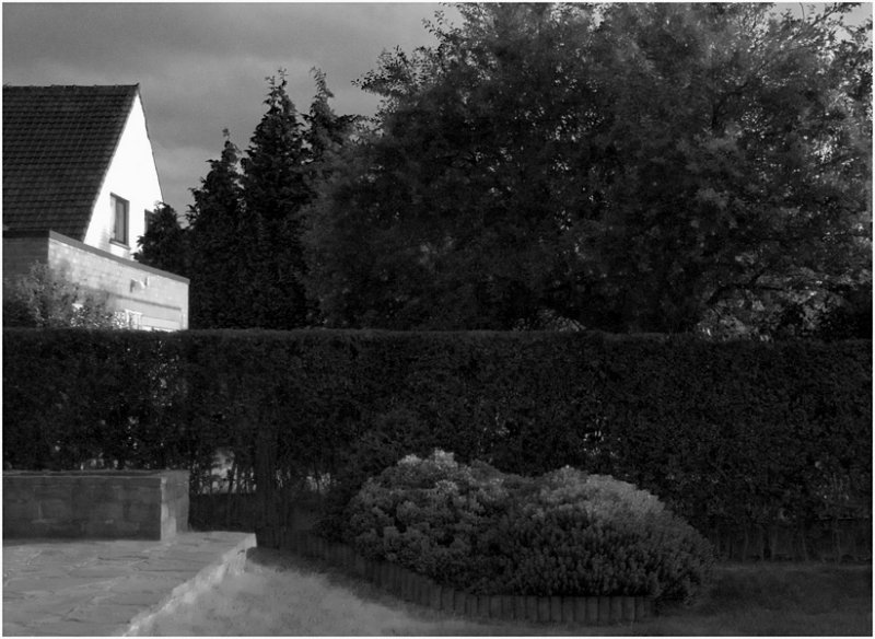 Ws and Ms houses