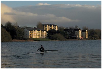 Rowing home