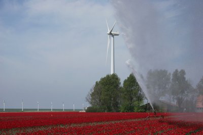 Modern windmills and modern farmery
