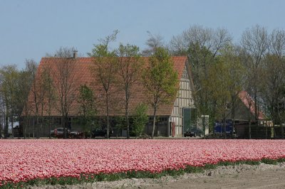 Typical farm of Flevoland