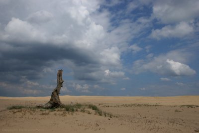 g6/00/755800/3/80826550.kQgFPukX.jpg