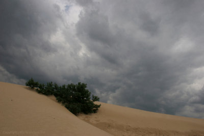 g6/00/755800/3/81427383.WDfgqWpx.jpg