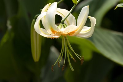 CRW_1202.jpg