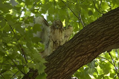 CRW_1678.jpg