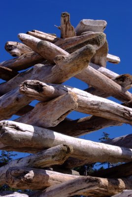 Log Sculpture