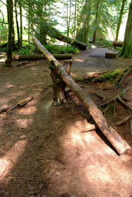 Woodland Teeter-Totter #2