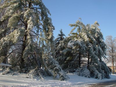 Ice/Snow Storm - December 2006