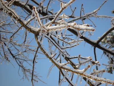 Ice/Snow Storm - December 2006