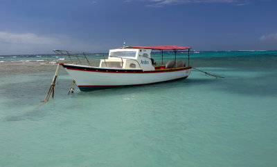 Aruba 2007