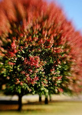 _DSC9793.jpg