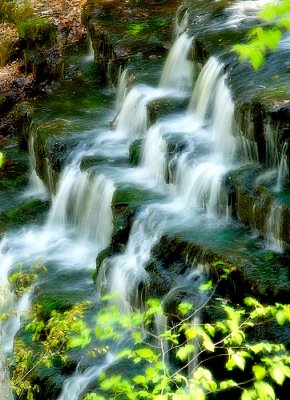 _DSC5837.jpg