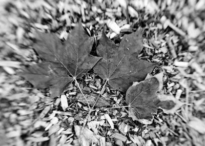 _DSC6058.jpg